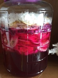 水果酵素