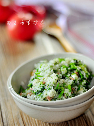 茴香培根炒饭