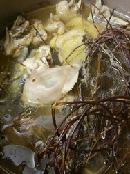 鸡骨草鸡汤