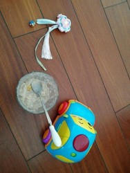 晴空腊梅苹蕉