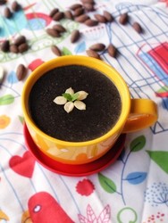 杏仁核桃芝麻糊