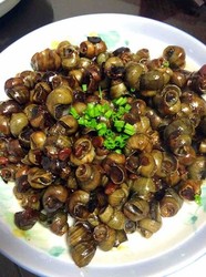 酱爆螺狮