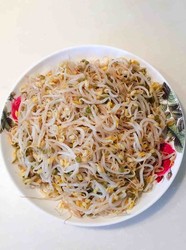 素炒豆芽