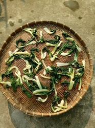 煮白菜(做晒菜干)