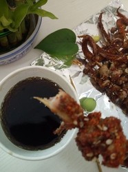 微波炉烤鱿鱼