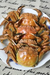 清蒸螃蟹