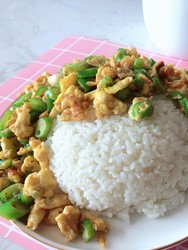 青椒炒蛋盖饭