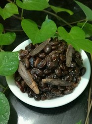 甘草黑豆