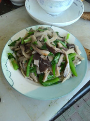 辣椒香菜炒平菇