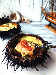 海胆豆浆蒸蛋