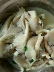 清炒平菇