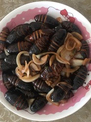 圆葱炒蚕蛹