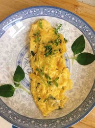 荆芥煎蛋