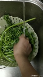 蒜香酱茼蒿