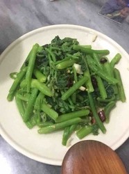 清炒南瓜苗