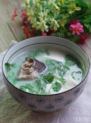 豆腐汤