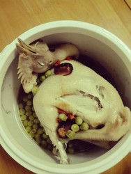 清蒸鸡