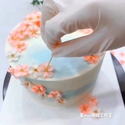 韩式裱花蛋糕 五瓣花裱花蛋糕 奶油霜裱花