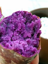 砂锅烤紫薯