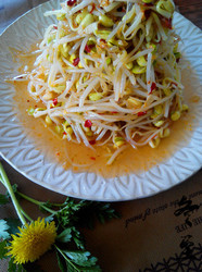 辣拌黄豆芽