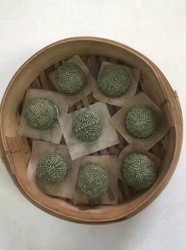 艾叶饼